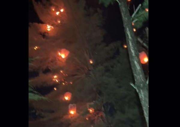 Viral Festival Lampion Jogja Berubah Jadi Hujan Api, Netizen: Mau Bakar Hutan? Viral Festival Lampion Jogja Berubah Jadi Hujan Api, Netizen: Mau Bakar Hutan?
