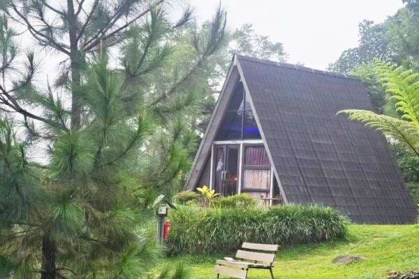 3 Tempat Glamping di Sentul Paling Instagramable, Cukup 1 Jam dari Jakarta 3 Tempat Glamping di Sentul Paling Instagramable, Cukup 1 Jam dari Jakarta