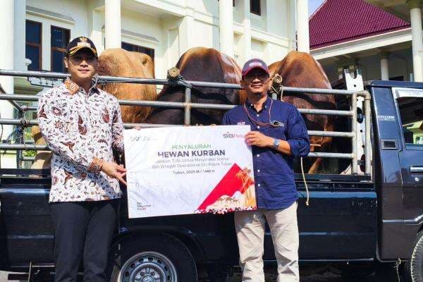 Iduladha 1446 H, SIG Bagikan 237 Hewan Kurban Setara 21 Ton Daging di 20 Provinsi Iduladha 1446 H, SIG Bagikan 237 Hewan Kurban Setara 21 Ton Daging di 20 Provinsi