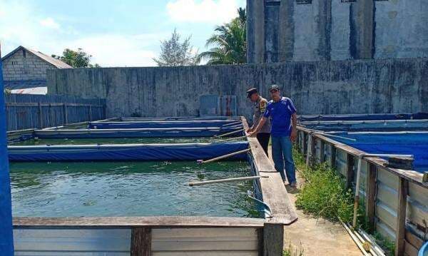 Aipda Lilik Bersama Warga Kumai Hulu Dukung Ketahanan Pangan Lewat Budidaya Lele Aipda Lilik Bersama Warga Kumai Hulu Dukung Ketahanan Pangan Lewat Budidaya Lele
