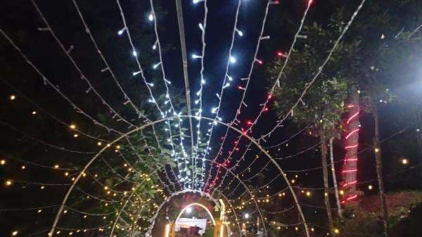 Keindahan Hutan Pinus di Mamasa, Disulap Jadi Kampung Natal, Datangkan Ribuan Pengunjung Keindahan Hutan Pinus di Mamasa, Disulap Jadi Kampung Natal, Datangkan Ribuan Pengunjung