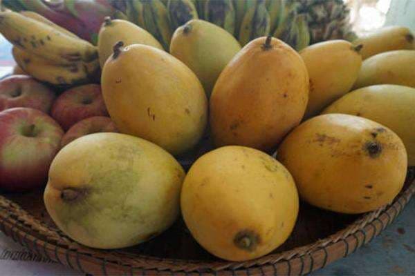 7 Buah Tinggi Karbohidrat dan Manfaat yang Dimilikinya 7 Buah Tinggi Karbohidrat dan Manfaat yang Dimilikinya