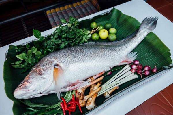 7 Ikan yang Menyehatkan Ginjal, Patin Rendah Kolesterol 7 Ikan yang Menyehatkan Ginjal, Patin Rendah Kolesterol