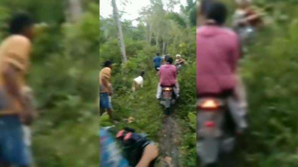 Banjir Lahar Gunung Semeru Terjang Permukiman, Warga Lumajang Selamatkan Diri ke Bukit Banjir Lahar Gunung Semeru Terjang Permukiman, Warga Lumajang Selamatkan Diri ke Bukit