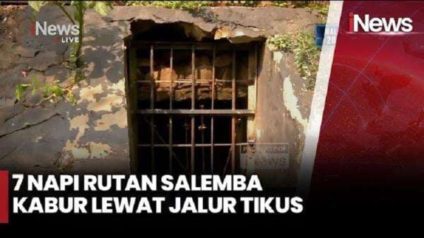 7 Tahanan Rutan Salemba Kabur lewat Jalur Tikus 7 Tahanan Rutan Salemba Kabur lewat Jalur Tikus