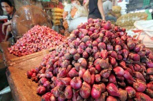 Mayoritas Harga Pangan Turun Hari Ini, Bawang dan Cabai Rawit Merah Tetap Naik Mayoritas Harga Pangan Turun Hari Ini, Bawang dan Cabai Rawit Merah Tetap Naik
