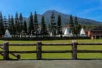 8 Glamping di Sentul yang Wajib Dicoba, Liburan Seru Dekat Jakarta 8 Glamping di Sentul yang Wajib Dicoba, Liburan Seru Dekat Jakarta