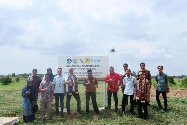 PLN EPI, PLN Puslitbang dan ITERA Kolaborasi Kembangkan Tanaman Energi PLN EPI, PLN Puslitbang dan ITERA Kolaborasi Kembangkan Tanaman Energi