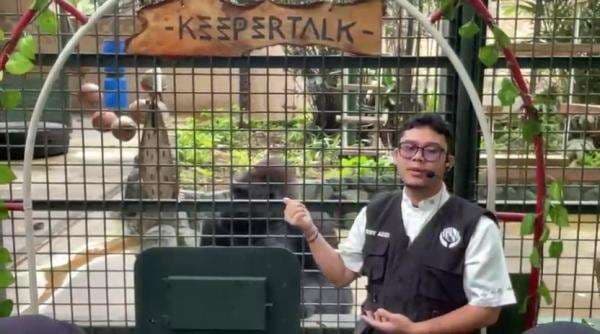 Pengelola Ragunan Prediksi Jumlah Kunjungan Tembus 70.000 hingga Akhir Pekan Pengelola Ragunan Prediksi Jumlah Kunjungan Tembus 70.000 hingga Akhir Pekan