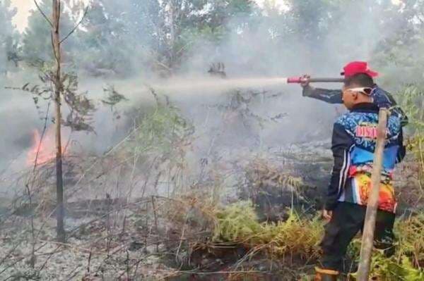 Kebakaran Lahan Gambut di Palangka Raya, Petugas Berjibaku Padamkan Api selama 2 Hari Kebakaran Lahan Gambut di Palangka Raya, Petugas Berjibaku Padamkan Api selama 2 Hari
