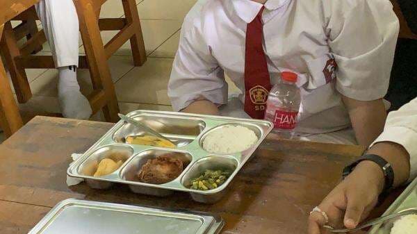 Ada 441 Jumlah Kasus Keracunan di Indonesia, 48 Persen dari Program MBG Ada 441 Jumlah Kasus Keracunan di Indonesia, 48 Persen dari Program MBG