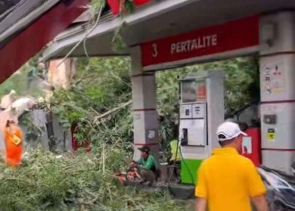 Cuaca Ekstrem Tumbangkan Pohon di SPBU Senen, Pemotor jadi Korban Cuaca Ekstrem Tumbangkan Pohon di SPBU Senen, Pemotor jadi Korban