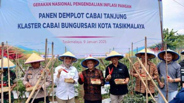 Kolaborasi Pemkot Tasikmalaya dan BI Kendalikan Harga Cabai Kolaborasi Pemkot Tasikmalaya dan BI Kendalikan Harga Cabai