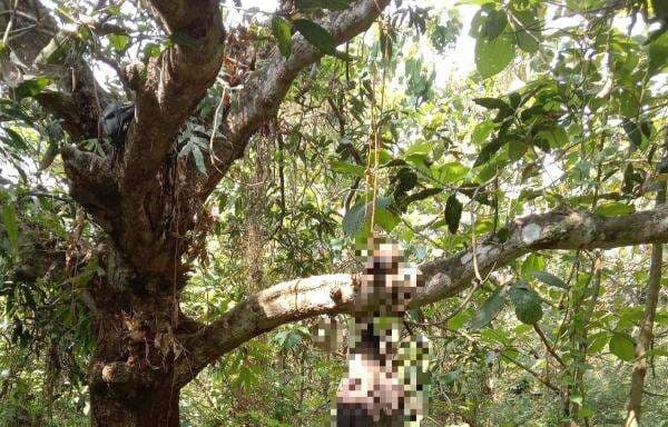 Jombang Geger! Kerangka Manusia Ditemukan Warga Tergantung di Pohon Mangga Jombang Geger! Kerangka Manusia Ditemukan Warga Tergantung di Pohon Mangga
