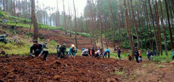 Cegah Perambahan Hutan, Perhutani dan Forkompinca Serta Masyarakat Tanam Pohon Di Hutan Jatilawang Cegah Perambahan Hutan, Perhutani dan Forkompinca Serta Masyarakat Tanam Pohon Di Hutan Jatilawang