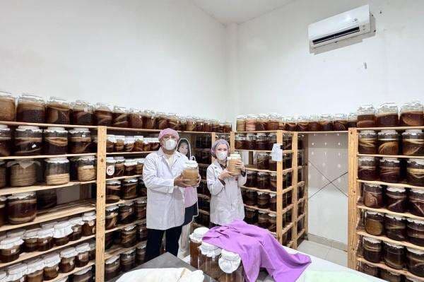 Lewat Program BRILiaN, UMKM Mambucha Siap Go Global Lewat Program BRILiaN, UMKM Mambucha Siap Go Global