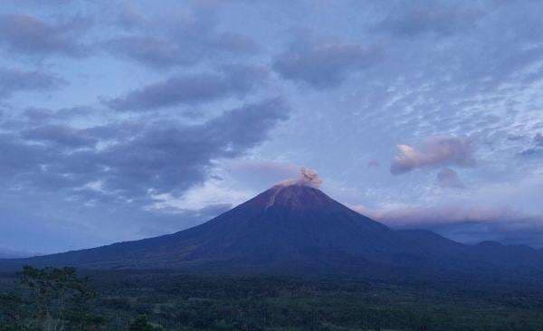Gunung Semeru Erupsi, Kolom Abu Capai 500 Meter Gunung Semeru Erupsi, Kolom Abu Capai 500 Meter