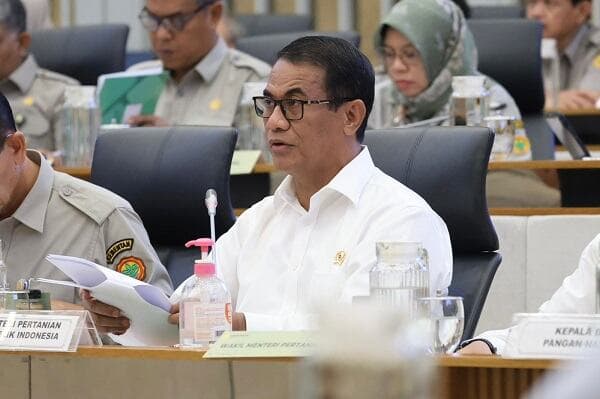 Harga TBS Anjlok Tak Wajar, 300 Perusahaan Sawit Diperiksa Harga TBS Anjlok Tak Wajar, 300 Perusahaan Sawit Diperiksa