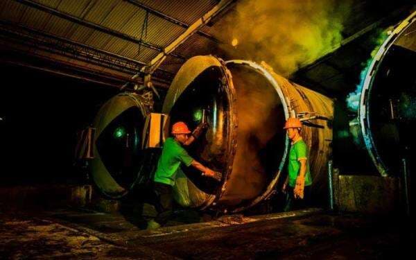 Fokus Garap Sawit, Sampoerna Agro (SGRO) Divestasi Bisnis Sagu Senilai Rp316 Miliar Fokus Garap Sawit, Sampoerna Agro (SGRO) Divestasi Bisnis Sagu Senilai Rp316 Miliar