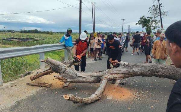 Hujan Disertai Angin Kencang Terjang Bulukumba Sulsel, Korban Jiwa Nihil Hujan Disertai Angin Kencang Terjang Bulukumba Sulsel, Korban Jiwa Nihil