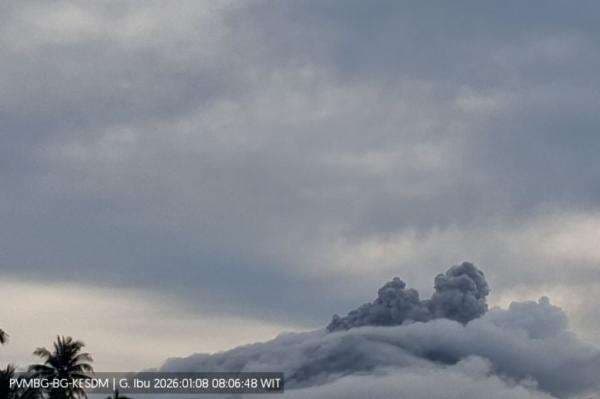 Gunung Ibu Erupsi Hari Ini, Kolom Abu Capai Setinggi 300 Meter Gunung Ibu Erupsi Hari Ini, Kolom Abu Capai Setinggi 300 Meter