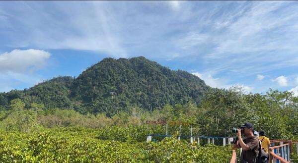 3 Rekomendasi Wisata Alam di Trenggalek, Indahnya Hutan Mangrove hingga Pantai Pasir Putih 3 Rekomendasi Wisata Alam di Trenggalek, Indahnya Hutan Mangrove hingga Pantai Pasir Putih