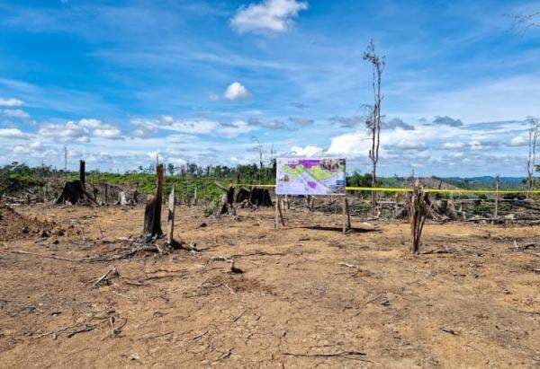 Tegas! Negara Tak Akan Beri Toleransi Perusak Hutan Seblat Tempat Habitat Gajah Liar Tegas! Negara Tak Akan Beri Toleransi Perusak Hutan Seblat Tempat Habitat Gajah Liar