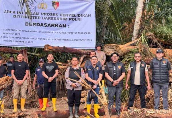 Bareskrim Selidiki Asal Usul Kayu Gelondongan di DAS Garoga Taput, Ambil 27 Sampel Bareskrim Selidiki Asal Usul Kayu Gelondongan di DAS Garoga Taput, Ambil 27 Sampel