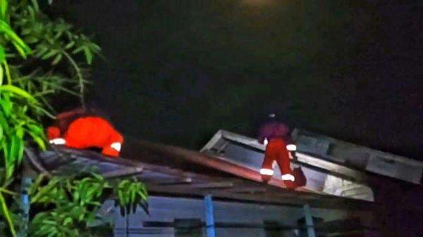 Tawon Vespa Sengat Istri Pemilik Rumah, Damkar Palangka Raya Lakukan Evakuasi Sarang Tawon Tawon Vespa Sengat Istri Pemilik Rumah, Damkar Palangka Raya Lakukan Evakuasi Sarang Tawon