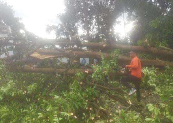 Puluhan Rumah di Jatim Rusak Diterjang Angin Kencang Puluhan Rumah di Jatim Rusak Diterjang Angin Kencang