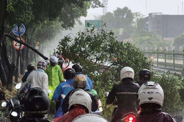 Hujan Deras, Pohon Tumbang hingga Tutup Jalan Galunggung Jaksel Hujan Deras, Pohon Tumbang hingga Tutup Jalan Galunggung Jaksel