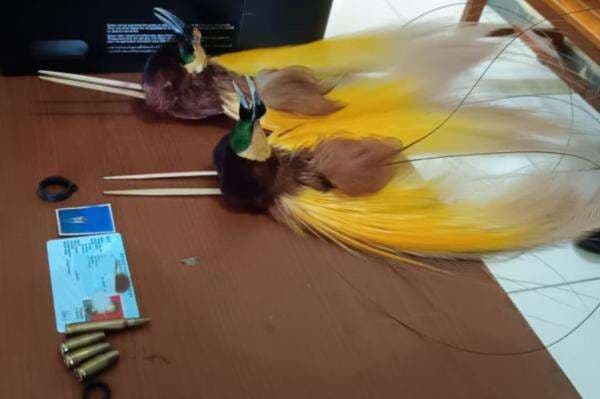 Satgas Korpasgat Gagalkan Penyelundupan Amunisi dan Cenderawasih Diawetkan di Bandara Wamena Satgas Korpasgat Gagalkan Penyelundupan Amunisi dan Cenderawasih Diawetkan di Bandara Wamena