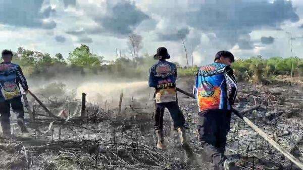 Kebakaran Lahan Gambut di Palangka Raya Terus Terjadi, Warga Diimbau Tak Bakar Lahan Kebakaran Lahan Gambut di Palangka Raya Terus Terjadi, Warga Diimbau Tak Bakar Lahan
