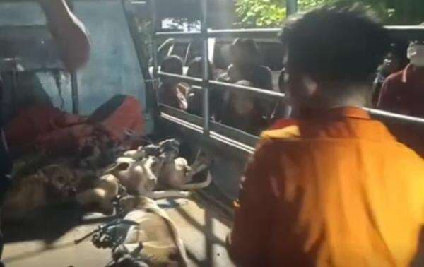 Kisah Tragis Yohanes Alexander, Wafat lalu Jenazahnya Diduga Dimakan 10 Anjing Piaraannya Kisah Tragis Yohanes Alexander, Wafat lalu Jenazahnya Diduga Dimakan 10 Anjing Piaraannya