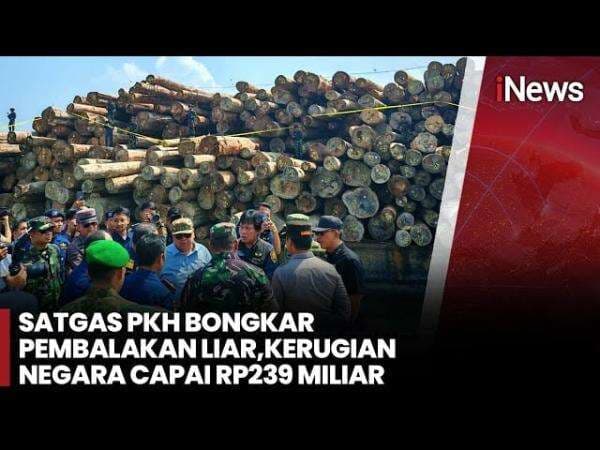Kayu Hasil Pembalakan Liar Mentawai Senilai Rp230 Miliar Disita di Gresik, Hutan 730 Hektare Nyaris Ludes Kayu Hasil Pembalakan Liar Mentawai Senilai Rp230 Miliar Disita di Gresik, Hutan 730 Hektare Nyaris Ludes