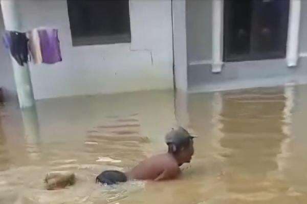 Viral Aksi Pria di Sampang Berenang di Banjir, Warganet: Masa Kecil Kurang Bahagia Viral Aksi Pria di Sampang Berenang di Banjir, Warganet: Masa Kecil Kurang Bahagia