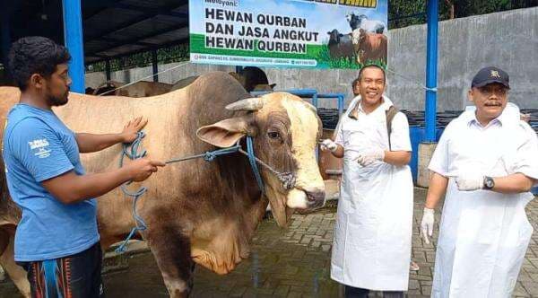 Pedrosa, Sapi Presiden Prabowo untuk Kurban Iduladha 2025 di Jombang Dibeli Dari Peternak Lokal Pedrosa, Sapi Presiden Prabowo untuk Kurban Iduladha 2025 di Jombang Dibeli Dari Peternak Lokal