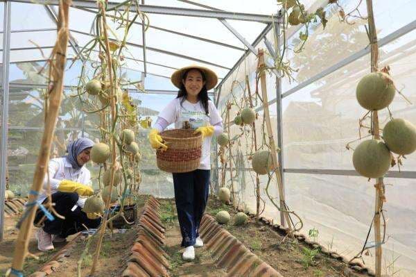 Apa Saja Program CSR BRI? Mengenal BRI Peduli dan 3 Pilar Utamanya Apa Saja Program CSR BRI? Mengenal BRI Peduli dan 3 Pilar Utamanya