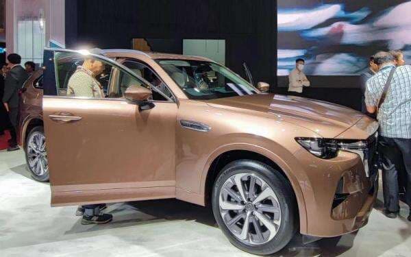 Cara Menghilangkan Bau Kencing Tikus di Mobil, jika Membandel Gunakan Cairan Ini Cara Menghilangkan Bau Kencing Tikus di Mobil, jika Membandel Gunakan Cairan Ini