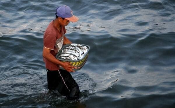 Lancarkan Ekpor ke Amerika Serikat, KKP Tingkatkan Pengawasan Mutu Perikanan Lancarkan Ekpor ke Amerika Serikat, KKP Tingkatkan Pengawasan Mutu Perikanan