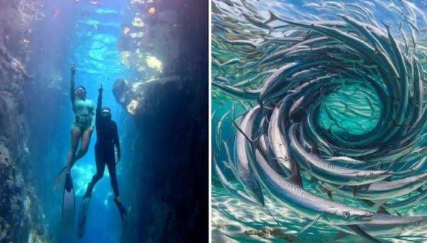 Mengintip Pulau Unik Maratua, Ada Tornado Barakuda hingga Goa Bisa Bikin Awet Muda 10 Tahun Mengintip Pulau Unik Maratua, Ada Tornado Barakuda hingga Goa Bisa Bikin Awet Muda 10 Tahun