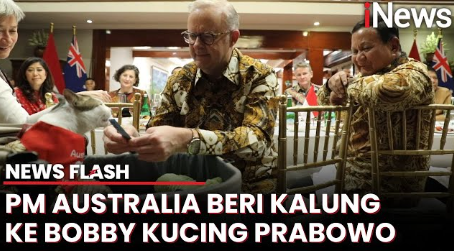 Momen Bobby Kucing Prabowo Dapat Hadiah Lagi, Kini Kalung Syal dari PM Australia Momen Bobby Kucing Prabowo Dapat Hadiah Lagi, Kini Kalung Syal dari PM Australia