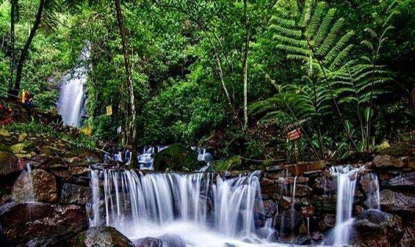 6 Tempat Wisata di Trawas yang Lagi Hits, Cocok untuk Healing 6 Tempat Wisata di Trawas yang Lagi Hits, Cocok untuk Healing