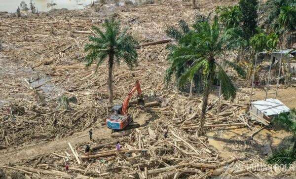 Pembalakan Liar di Sumut Naik Penyidikan, Bareskrim Temukan Alat Berat di DAS Garoga Pembalakan Liar di Sumut Naik Penyidikan, Bareskrim Temukan Alat Berat di DAS Garoga
