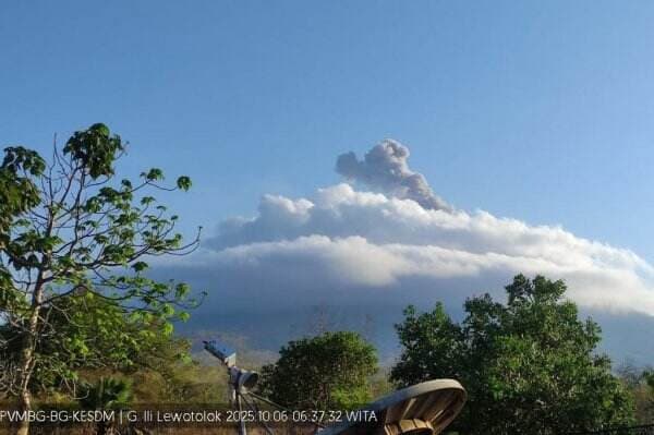 Gunung Ile Lewotolok di NTT Erupsi Pagi Ini, Kolom Abu Capai 700 Meter Gunung Ile Lewotolok di NTT Erupsi Pagi Ini, Kolom Abu Capai 700 Meter
