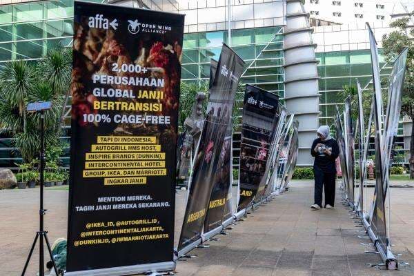 Act for Farmed Animals Gelar Pameran Mengungkap Masalah Utama Industri Telur Global Act for Farmed Animals Gelar Pameran Mengungkap Masalah Utama Industri Telur Global