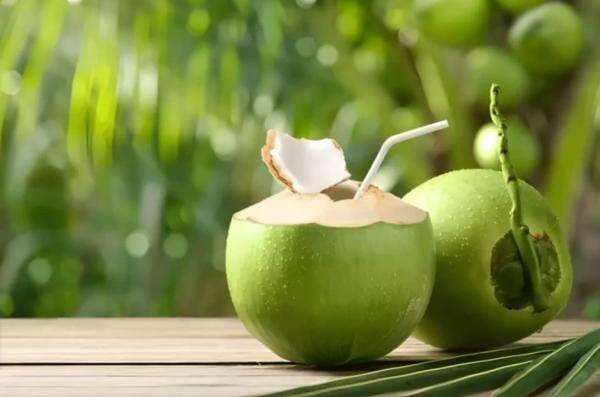 Ahli Gizi IPB Ungkap Waktu yang Baik Minum Air Kelapa Ahli Gizi IPB Ungkap Waktu yang Baik Minum Air Kelapa