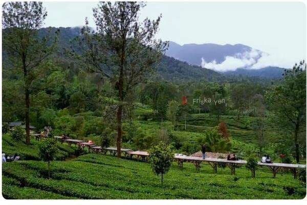 Akhir Pekan! Ini 4 Destinasi di Puncak Bogor yang Wajib Dikunjungi Akhir Pekan! Ini 4 Destinasi di Puncak Bogor yang Wajib Dikunjungi