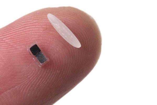 Alat Pacu Jantung Terkecil di Dunia Seukuran Sebutir Beras Diperkenalkan Alat Pacu Jantung Terkecil di Dunia Seukuran Sebutir Beras Diperkenalkan