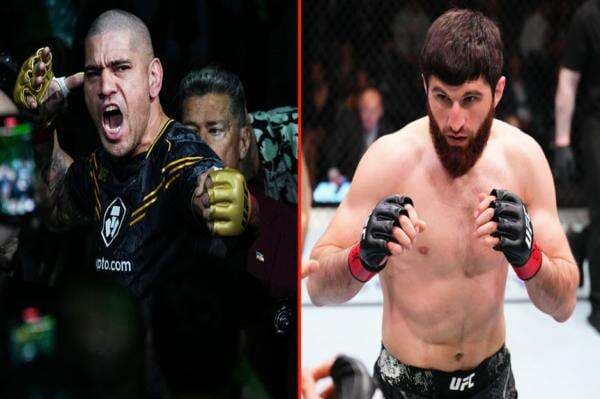 Alex Pereira Tantang Magomed Ankalaev di UFC 313: Antara Taruhan dan Keimanan Petarung Muslim Alex Pereira Tantang Magomed Ankalaev di UFC 313: Antara Taruhan dan Keimanan Petarung Muslim